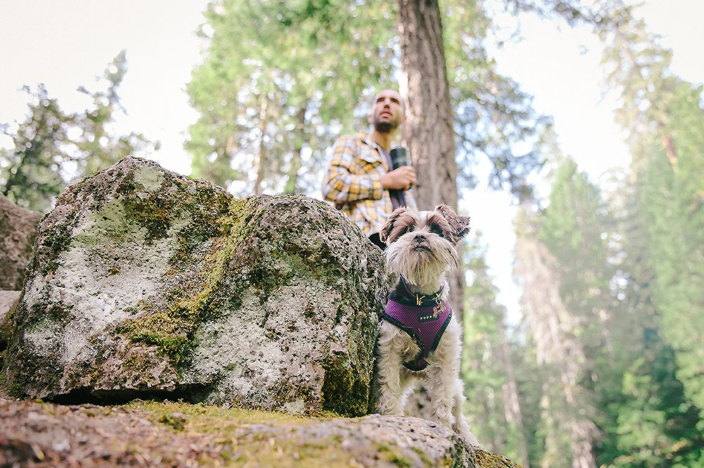 Oregon Road Trip Photographer 11