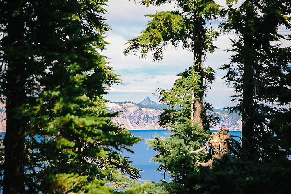 Oregon Road Trip Photographer 15