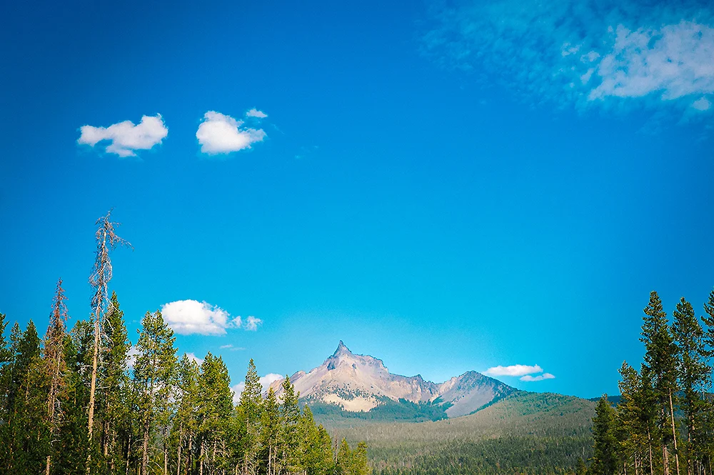 Oregon Road Trip Photographer 19