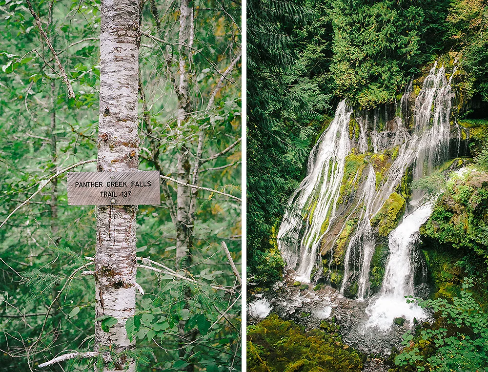 Oregon Road Trip Photographer 55