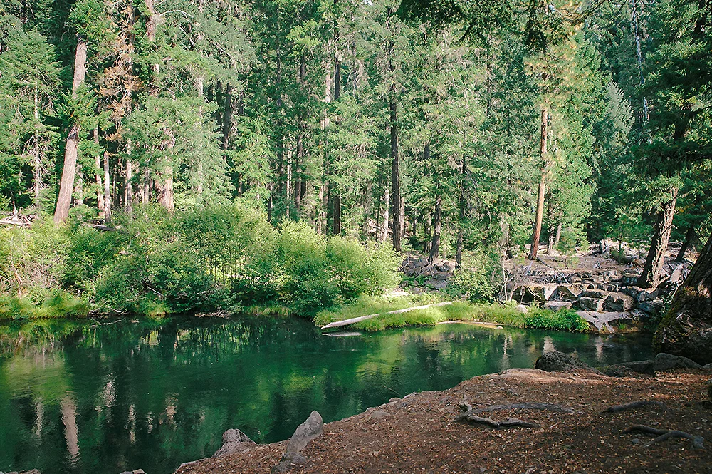 Oregon Road Trip Photographer 7