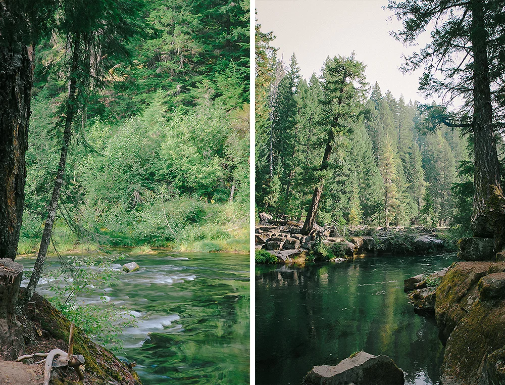 Oregon Road Trip Photographer 8
