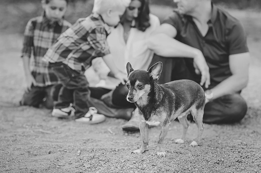 Boulder CO Childrens Photographer 11.jpg