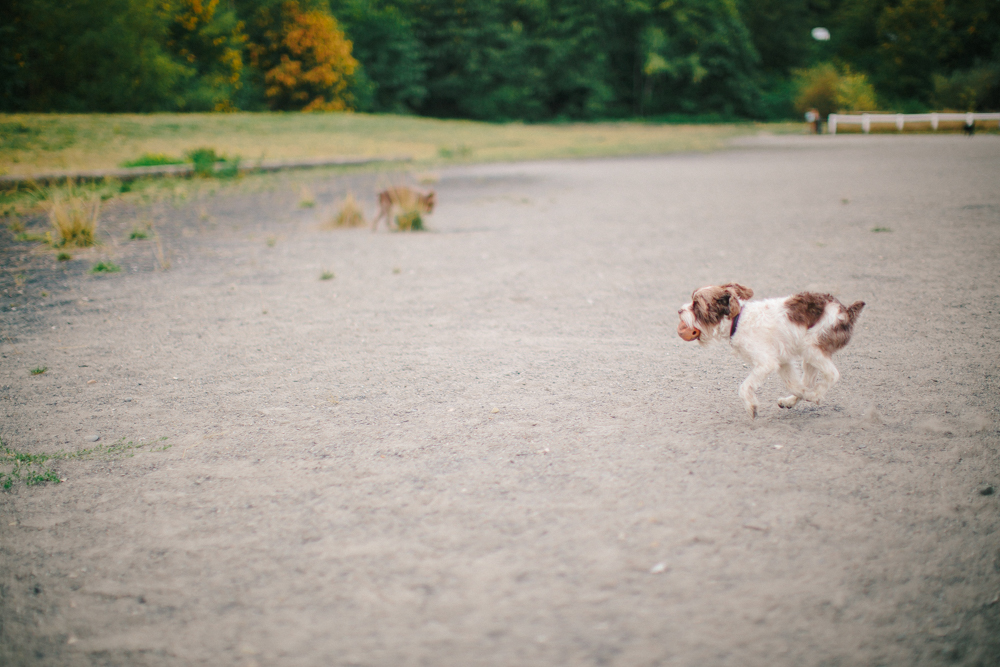 Seattle Road Trip (26 of 67).jpg