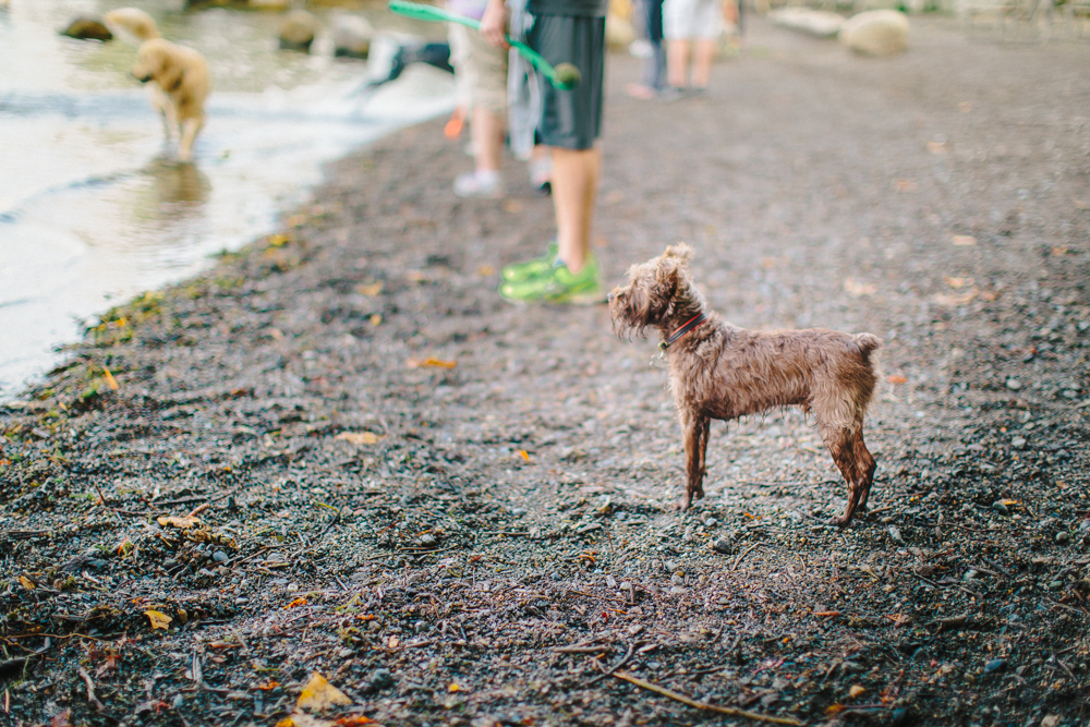 Seattle Road Trip (54 of 67).jpg