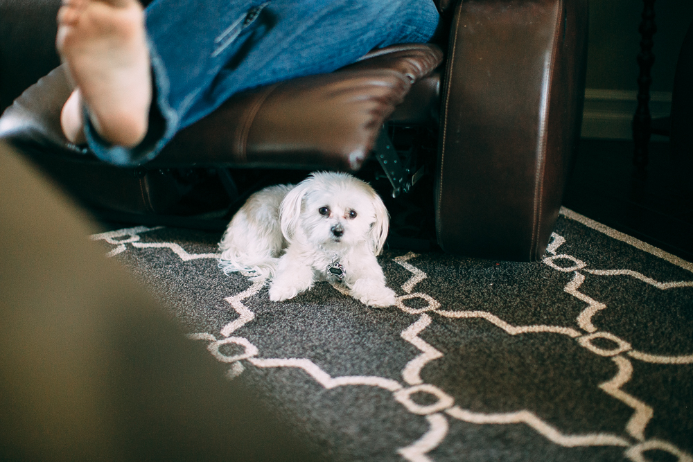 Lifestyle Newborn Photographer Boulder (11 of 134).jpg