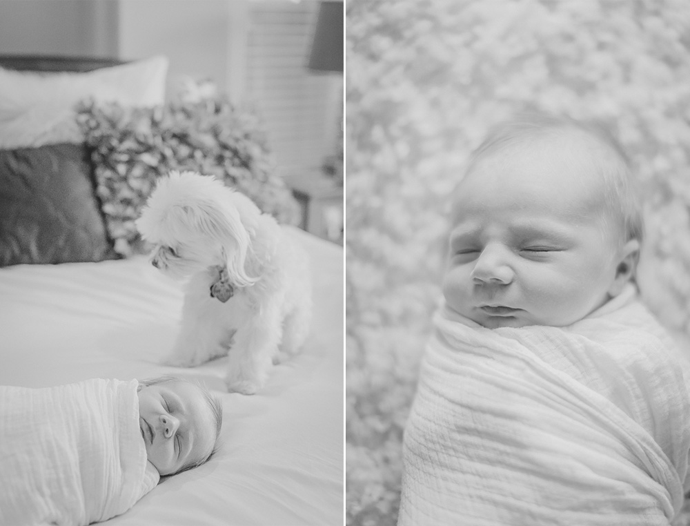 Newborn Photographer Louisville 7.jpg