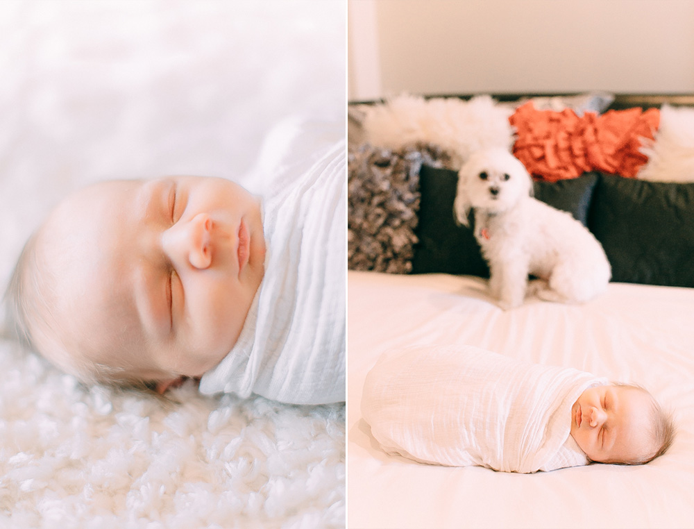 Newborn Photographer Louisville 8.jpg