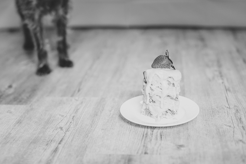 Dogbirthdaycake0023.jpg