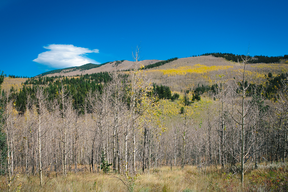 Colorado Road Trip0001.jpg