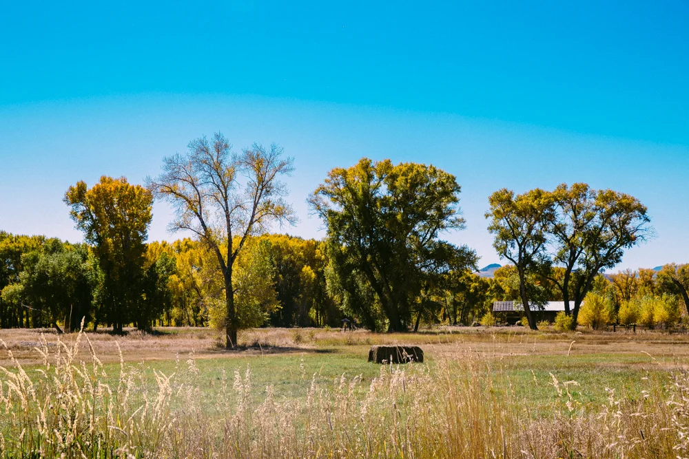 Colorado Road Trip0084.jpg