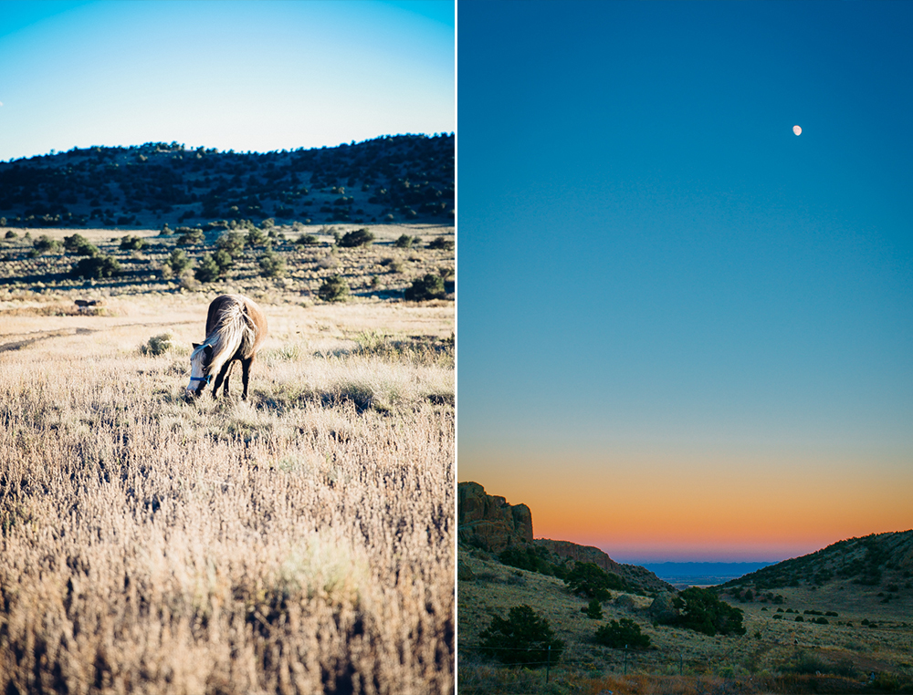 Colorado Road Trip 3.jpg