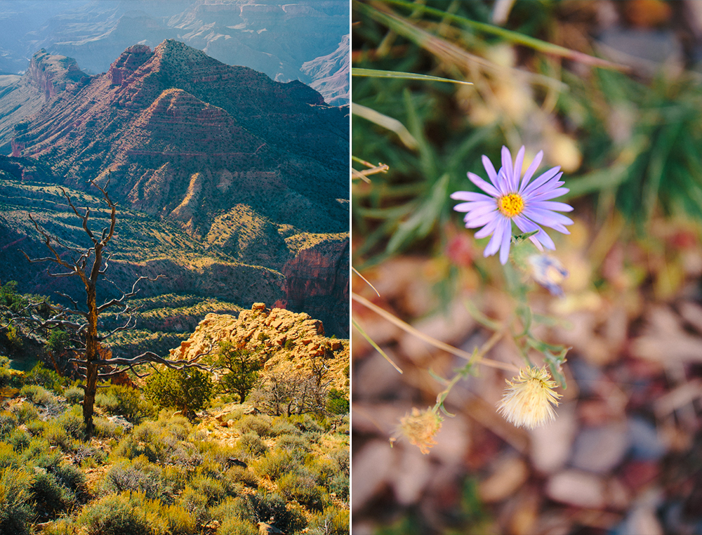 Grand Canyon Road Trip 2.jpg