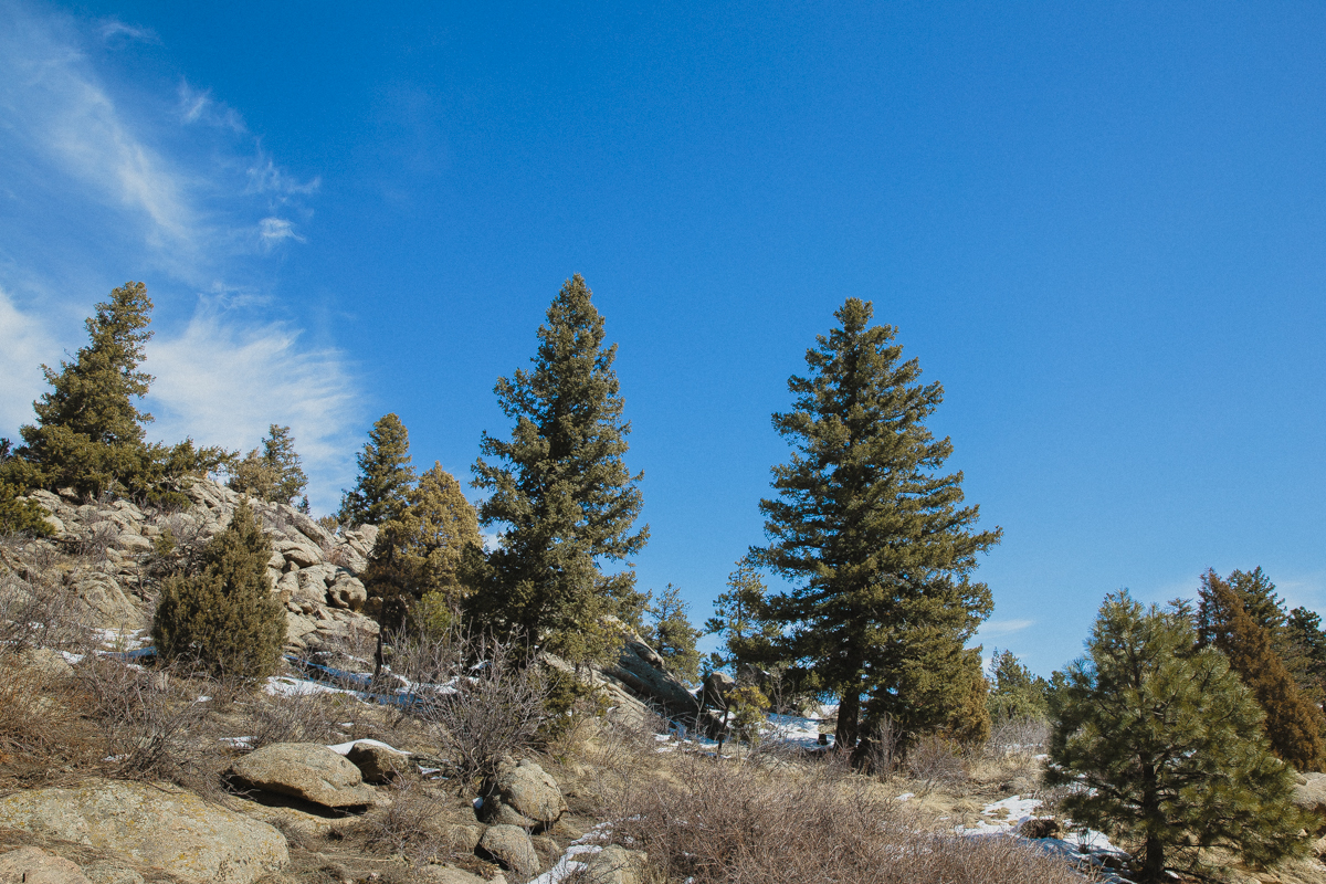 Flagstaff Mountain CO Photo Session0006.jpg