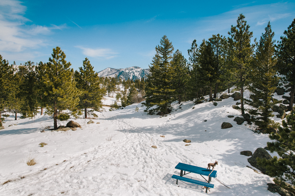 Flagstaff Mountain CO Photo Session0008.jpg