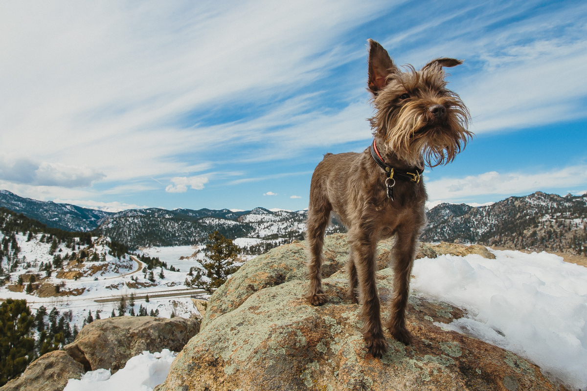 Flagstaff Mountain CO Photo Session0016.jpg