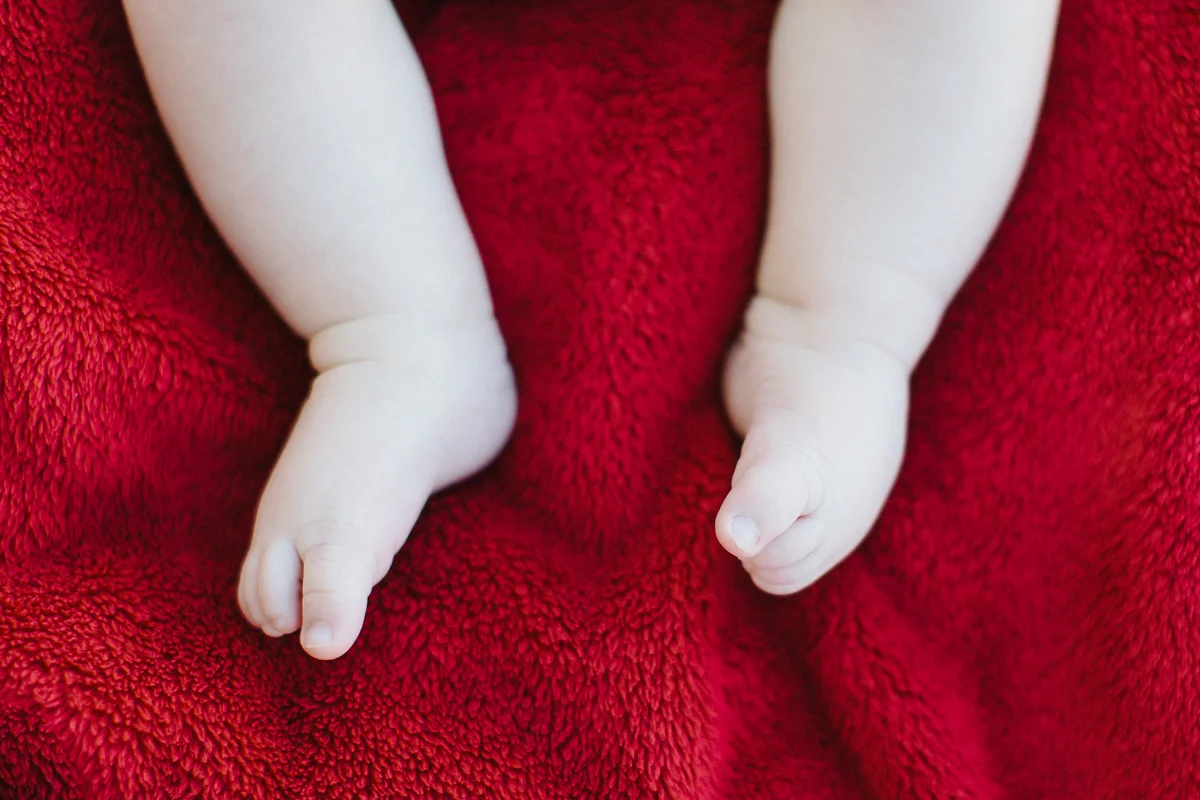 Denver Family Photographer0006.jpg