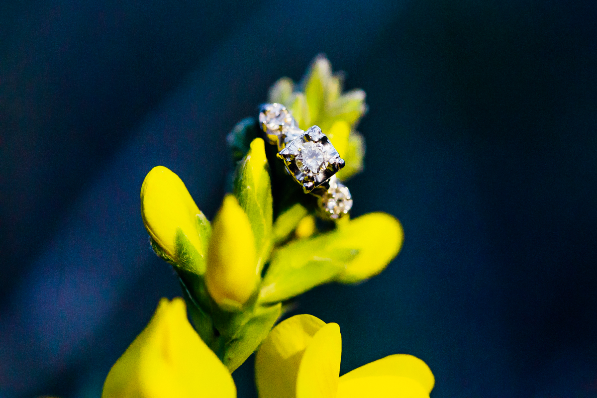 Boulder Spring Engagement Session-124.jpg