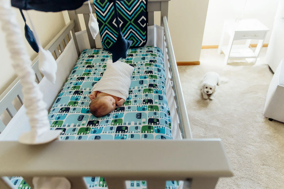 Denver Lifestyle Newborn Photographer-32.jpg