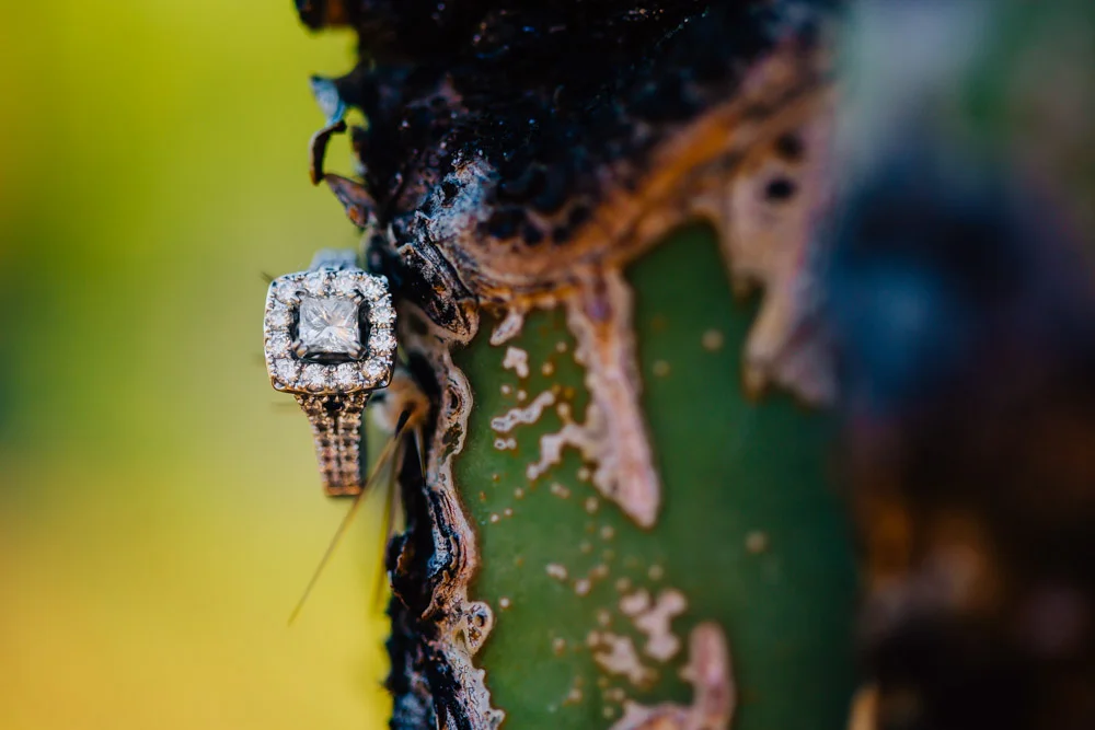 Colorado Destination Photographer - Desert Engagement -24.jpg