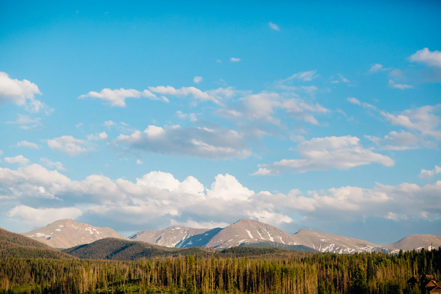 Colorado Backyard Wedding -67.jpg