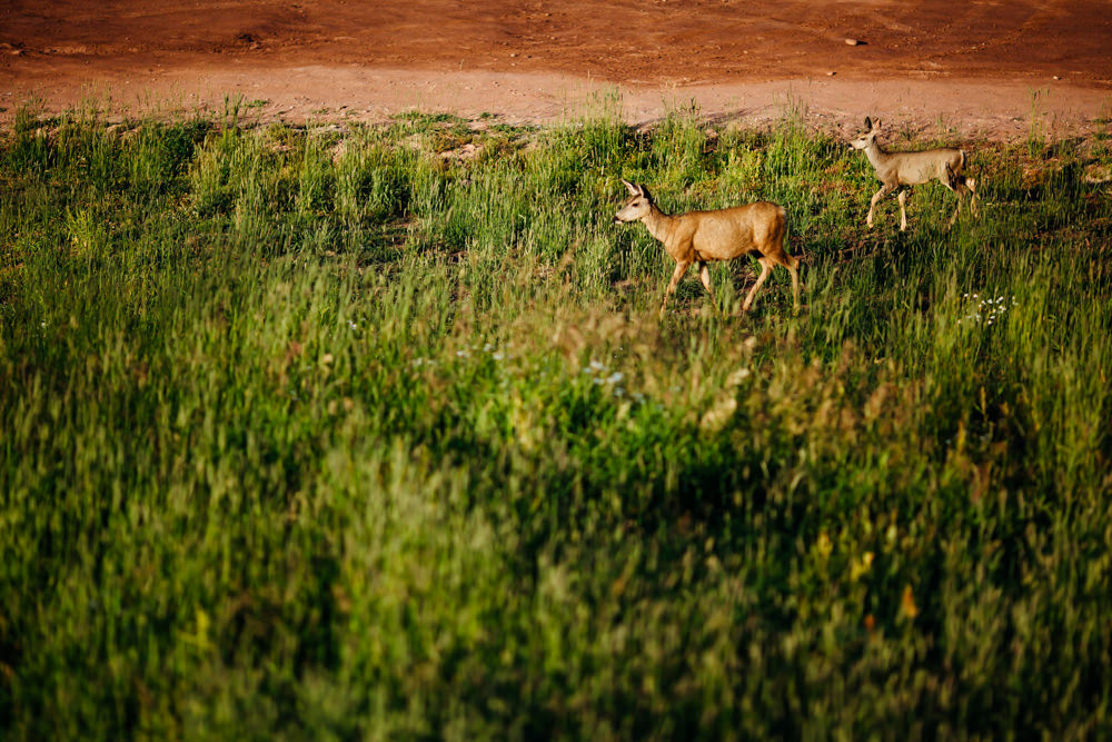 The 10th Vail Wedding - Vail Wedding Photographer -64.jpg