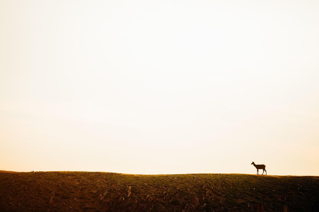 Rocky Mountain National Park Elopement - Trail Ridge Road -40.jpg