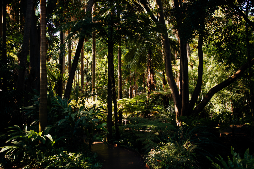 Australia_Wedding_Photographer -44.jpg