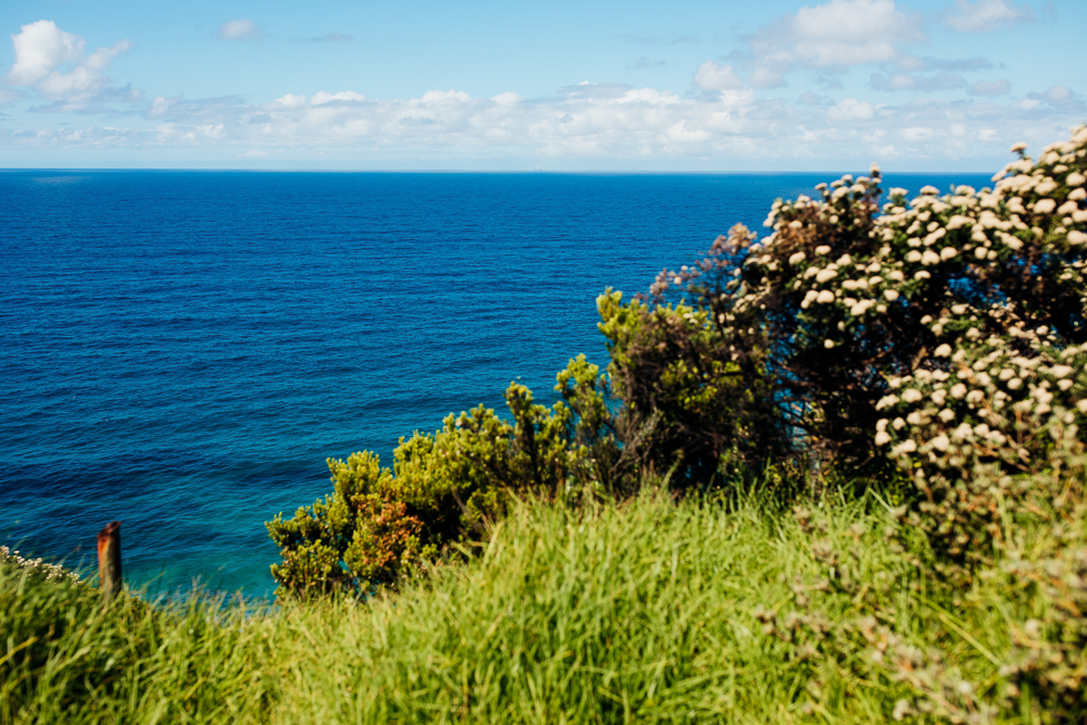 Australia_Wedding_Photographer -50.jpg