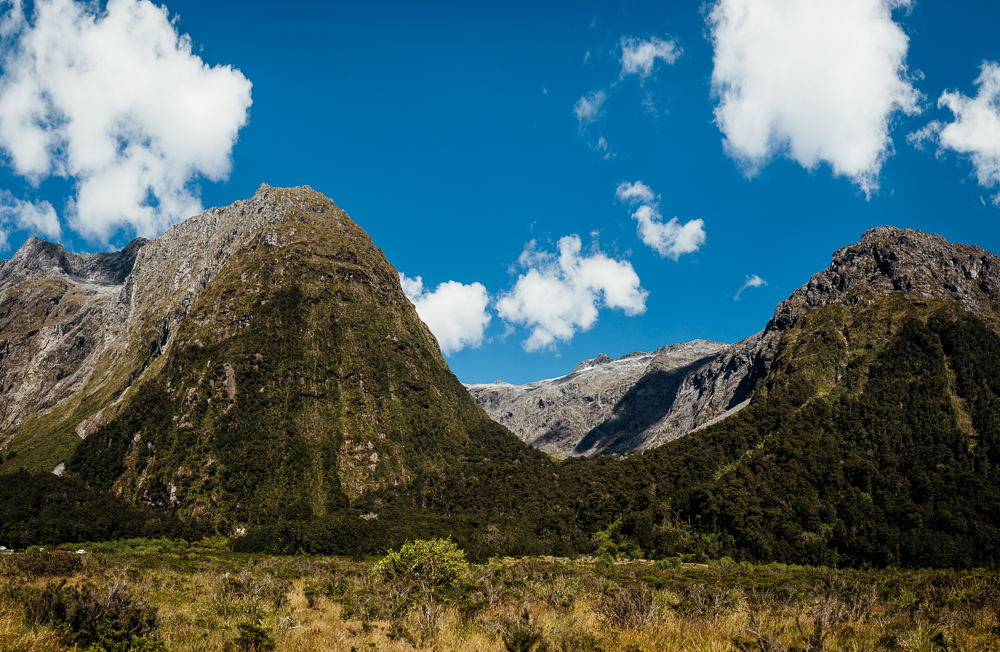 New Zealand Wedding Photographer -23.jpg