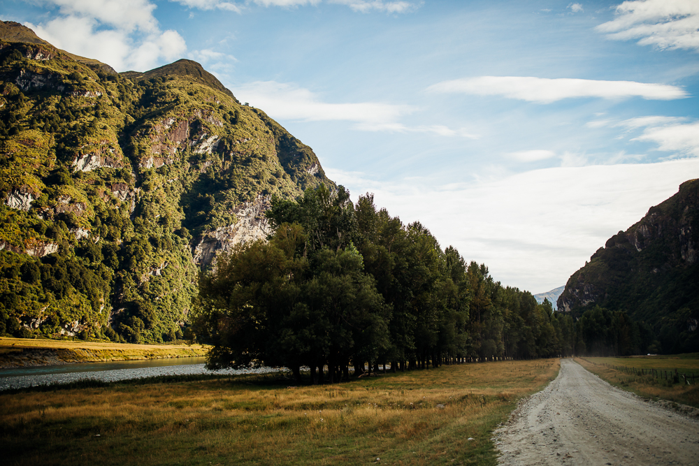 New Zealand Wedding Photographer -65.jpg