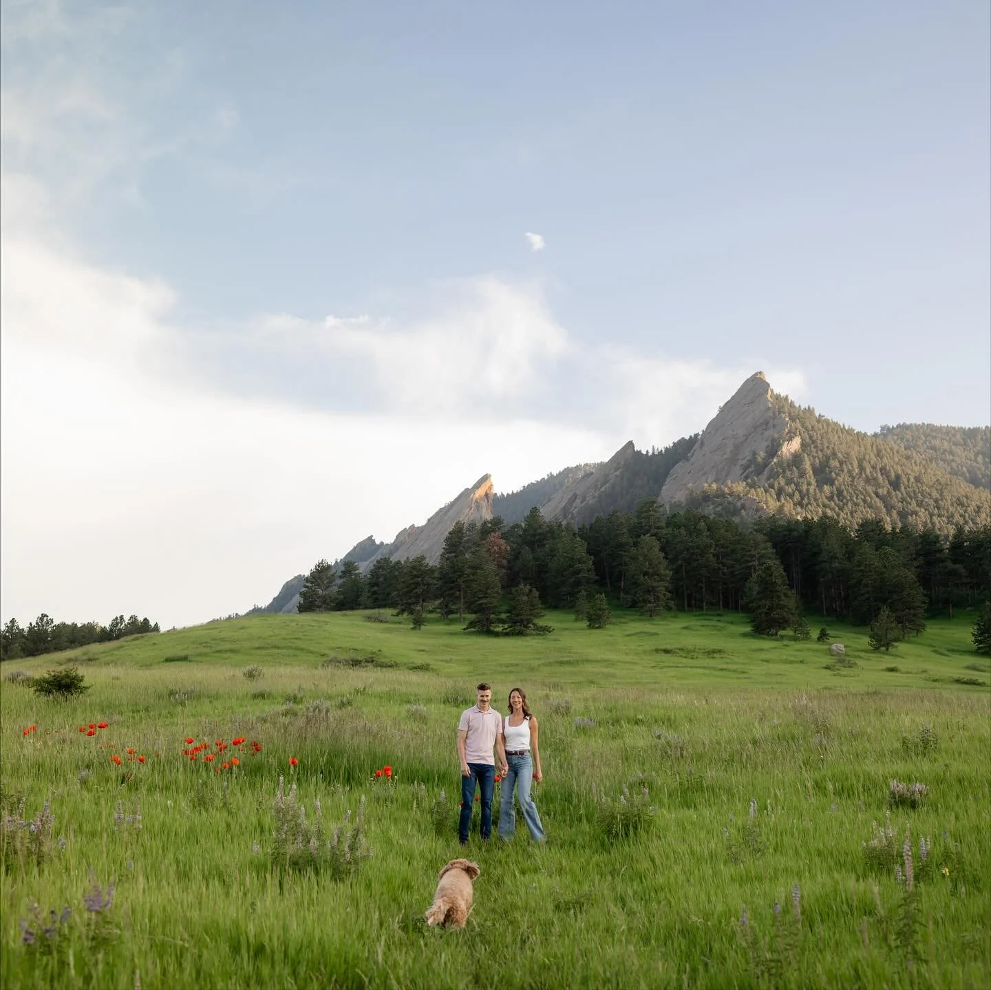Summer is coming to an end and I have not even begun to share all of what my team and I have captured this summer &hearts;️

Boulder engagement session with a cute pup + poppies yes please 😍

We can&rsquo;t wait for your winter wedding Kari &amp; Cl