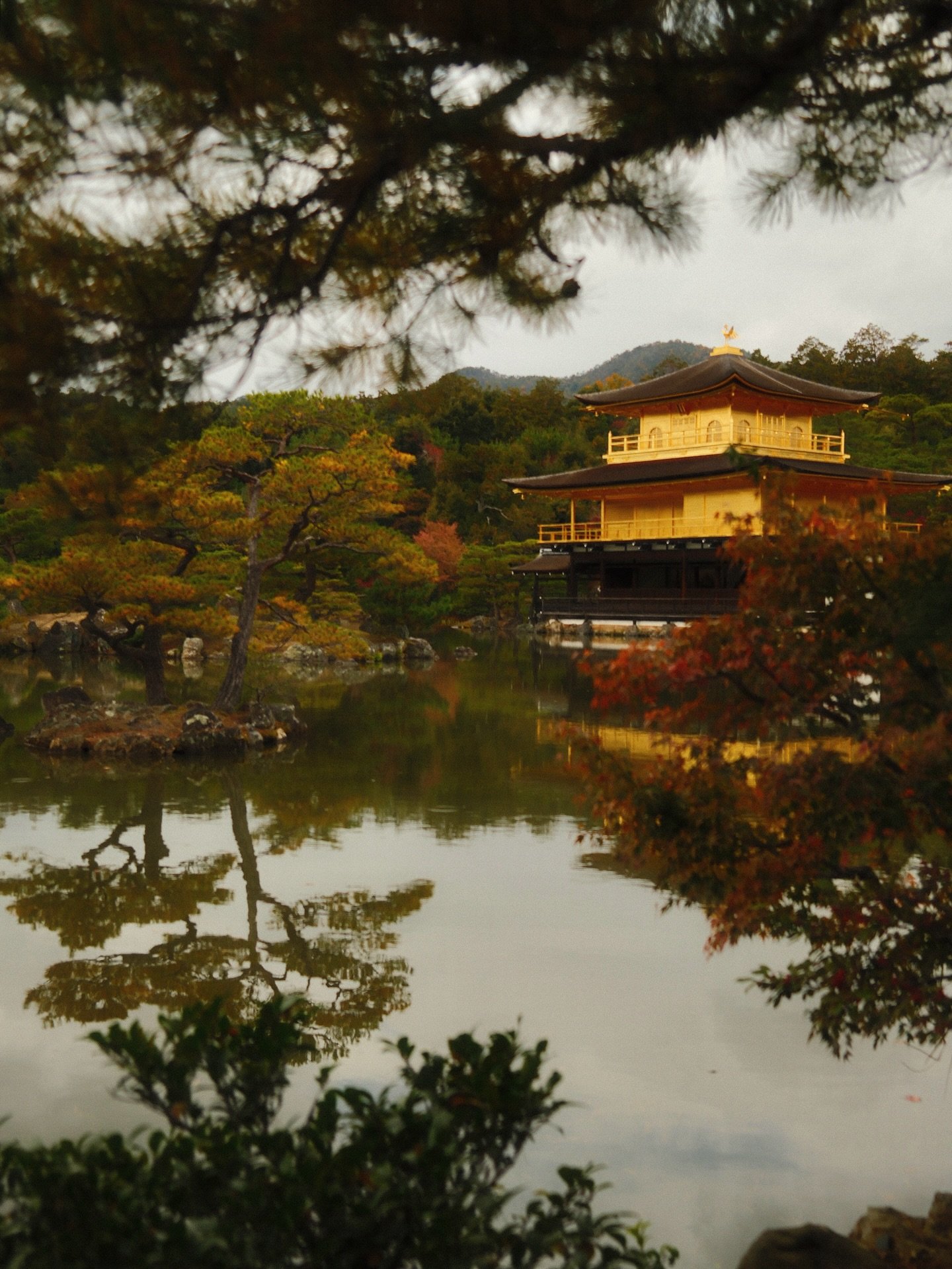 My most over said phrase while seeing Japan for the first time with fresh curious excited eyes &mdash; &ldquo;Wow I have never seen anything like this before!&rdquo;

Tokyo/Kyoto/Hiroshima 🇯🇵 

To see you in fall time was stunning, reds in every hu