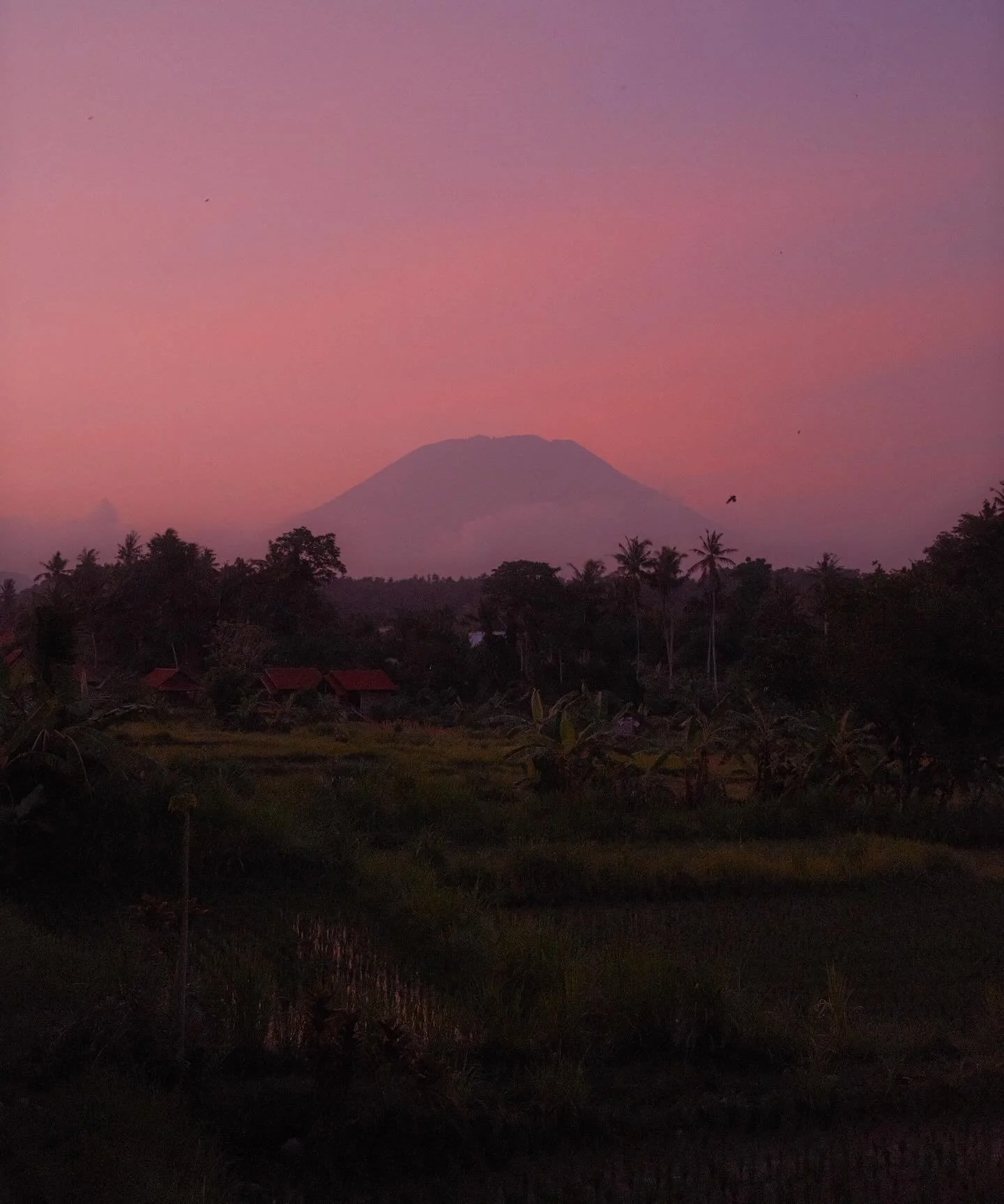 One month in Bali is like living one year in any other life&hellip;

All the feels leaving you today, see you in March🙏&hearts;️