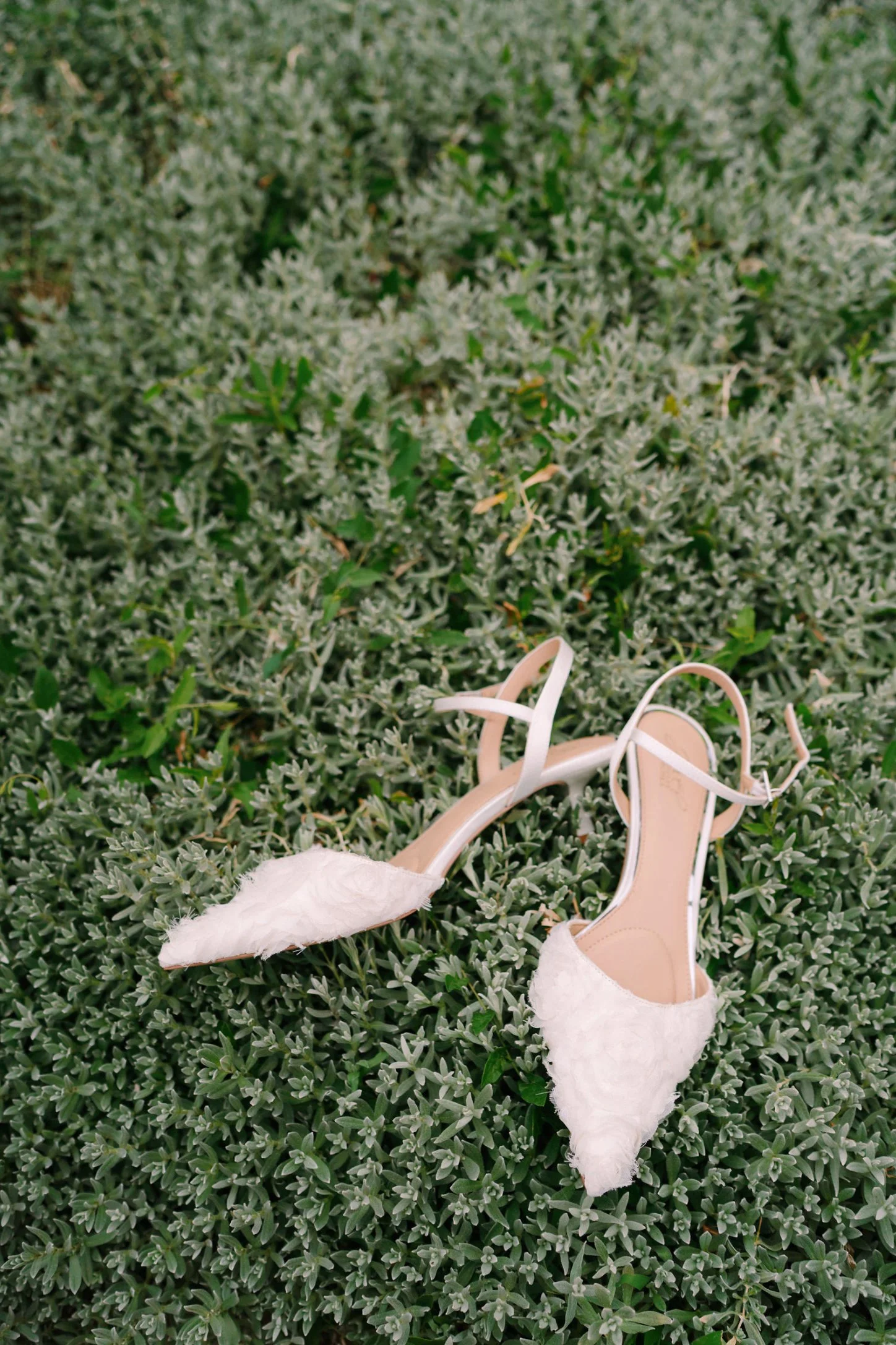 Mallory Munson Photography - Denver Wedding Photographer 141.jpg