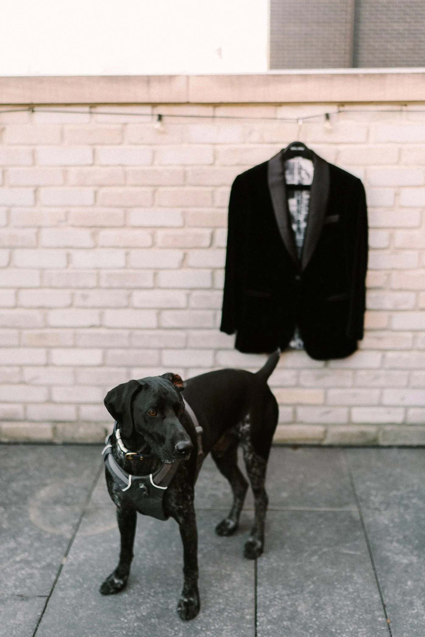 Mallory Munson Photography - Denver Wedding Photographer 79.jpg