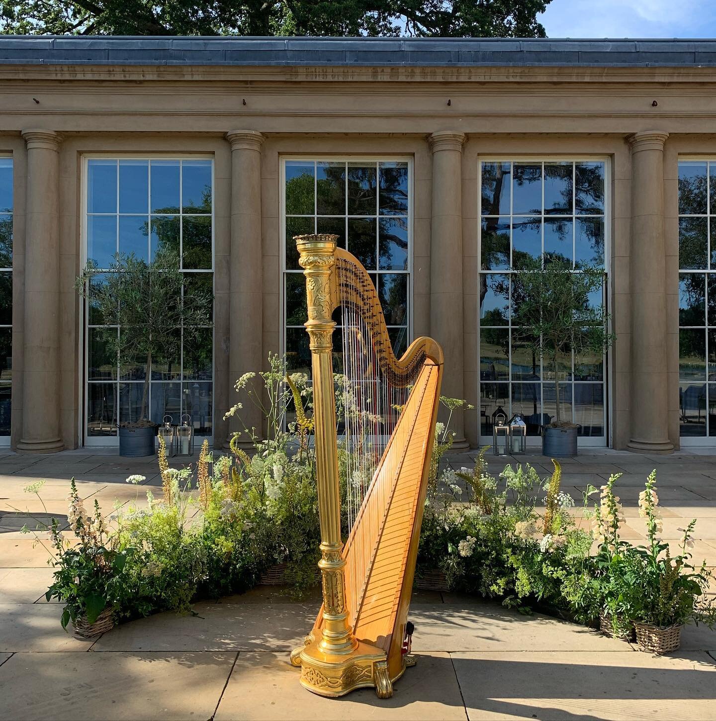 One of my favourite venues. Had the loveliest time playing for the Michelin Star dining celebration at the beautiful @wildernessreserve #practicalharpist