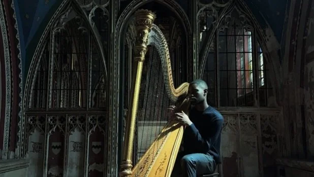 harp stunt double for @santandave
// the boy who played [my] harp🪉