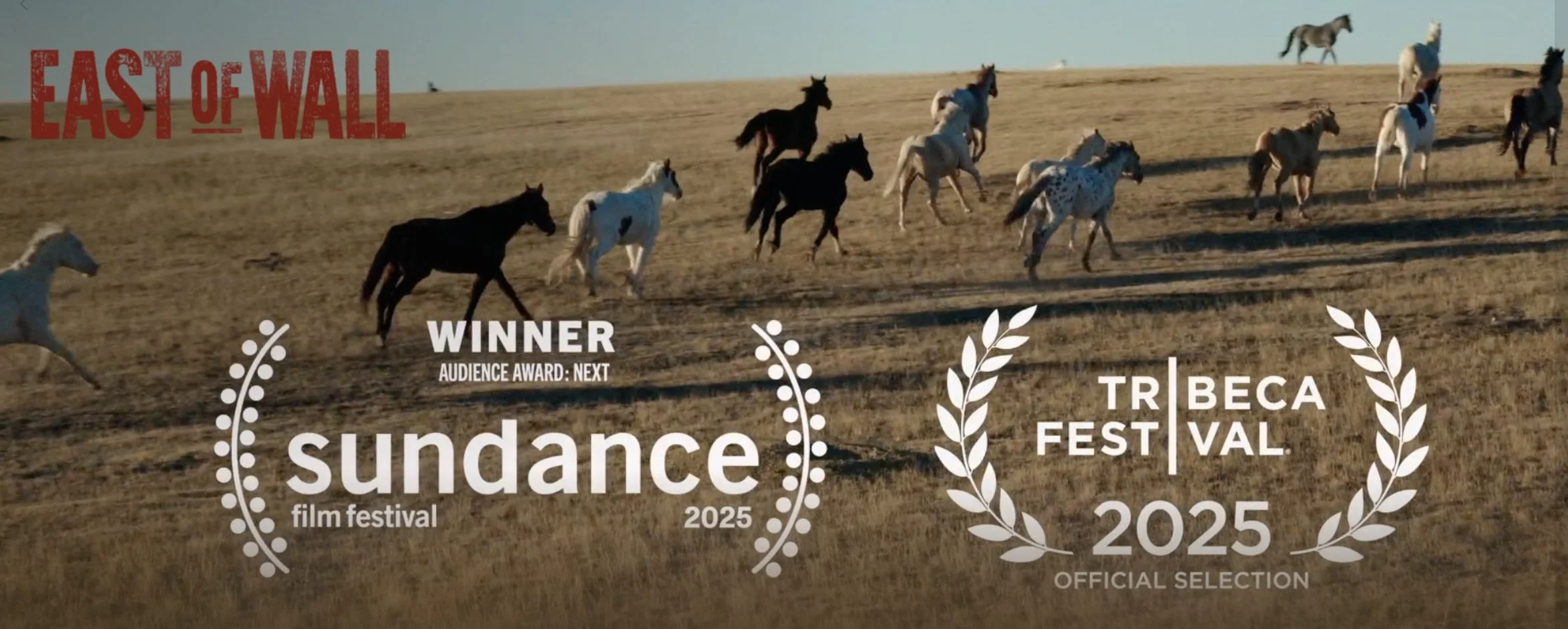 ryan-caraway-east-of-wall-sundance-banner.jpg