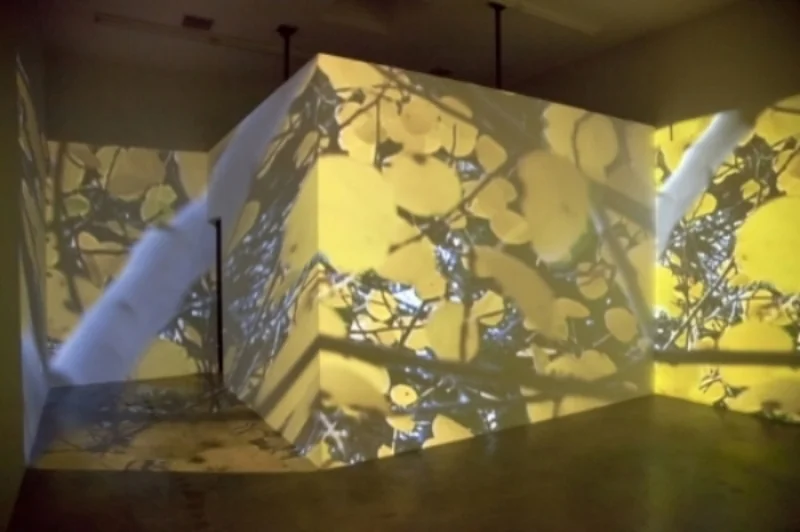 Exterior of The Bonkers Devotional, Angles Gallery, Los Angeles