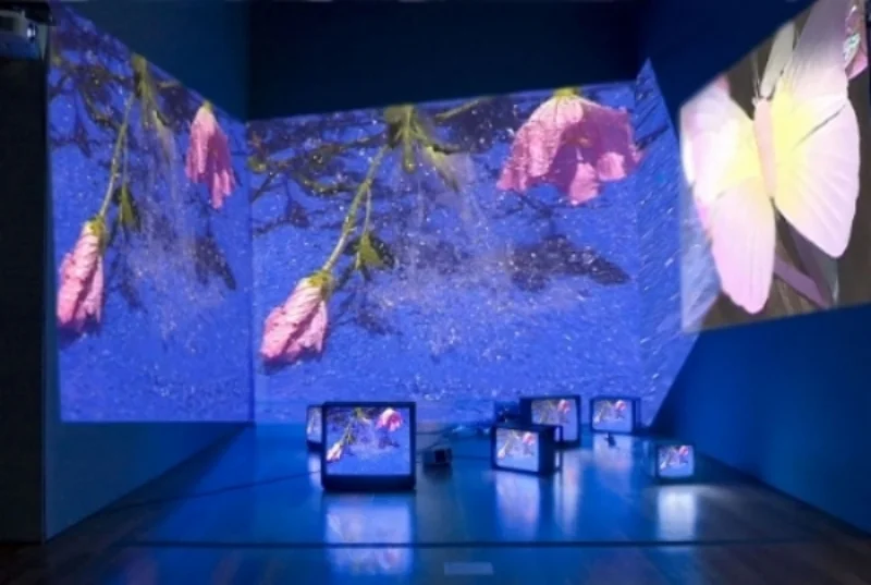 Backrop, California Video, the Getty Museum.