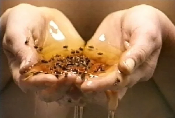 Video still of Honey, from Amazing Grace series