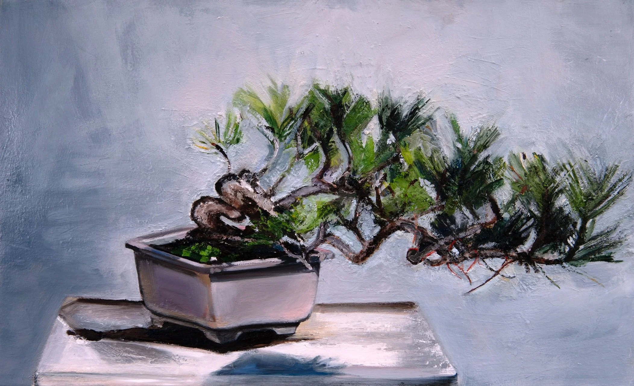 Bonsai_02_JS+copy.jpg