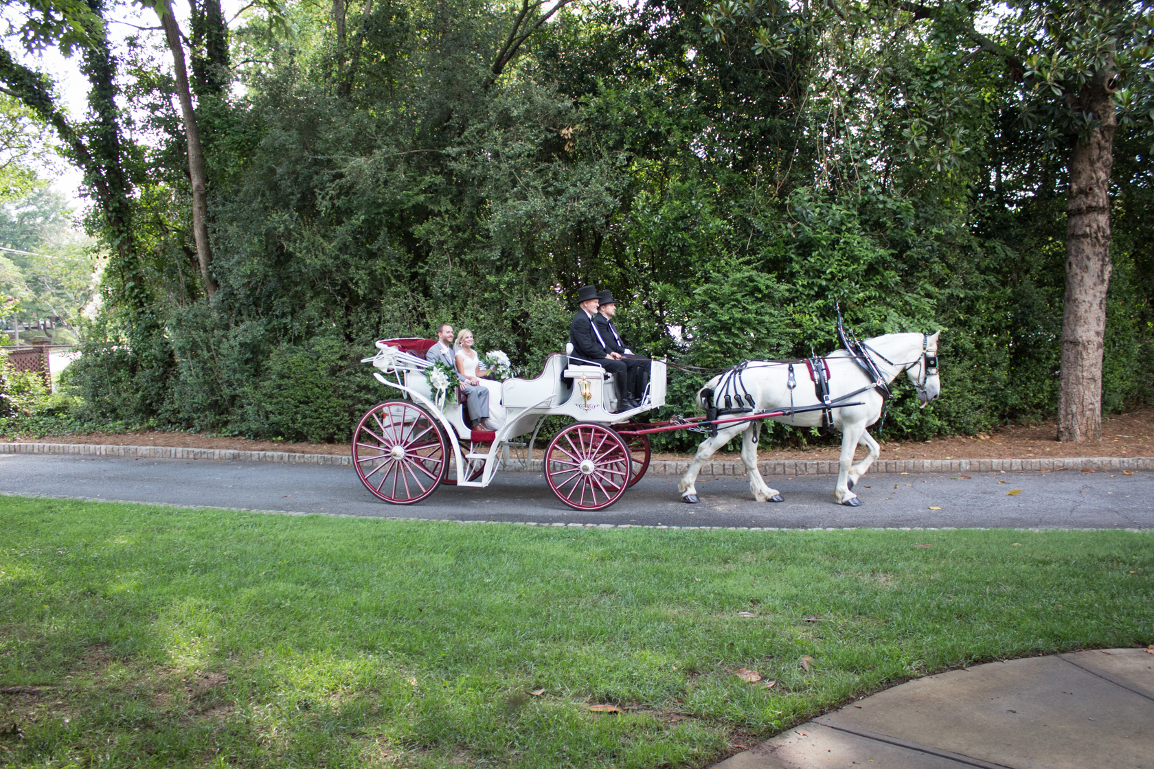 Alex and Joe are delivered by carriage to their ceremony. 