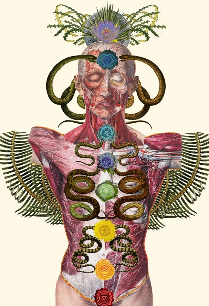 Get Curious- Who knows what you will find in Your Inner Universe? Allow direct experience of sensation to open your awareness to the inner world we tune out while living in the head. Artwork by Travis Bedel