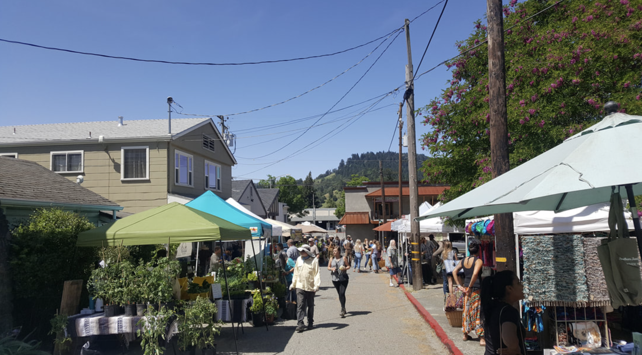 Garberville Farmer's Market