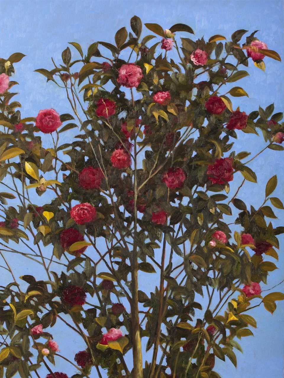 Camellia, 2012. Oil on canvas, 40 x 30 inches. Private Collection.