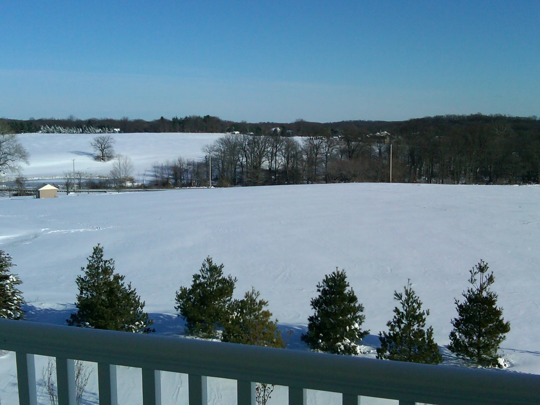 IMG00003-20091220-1414.jpg