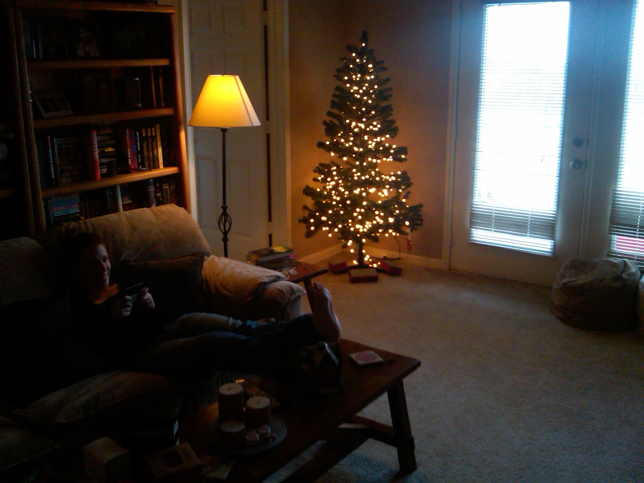 IMG00235-20101211-1539.jpg
