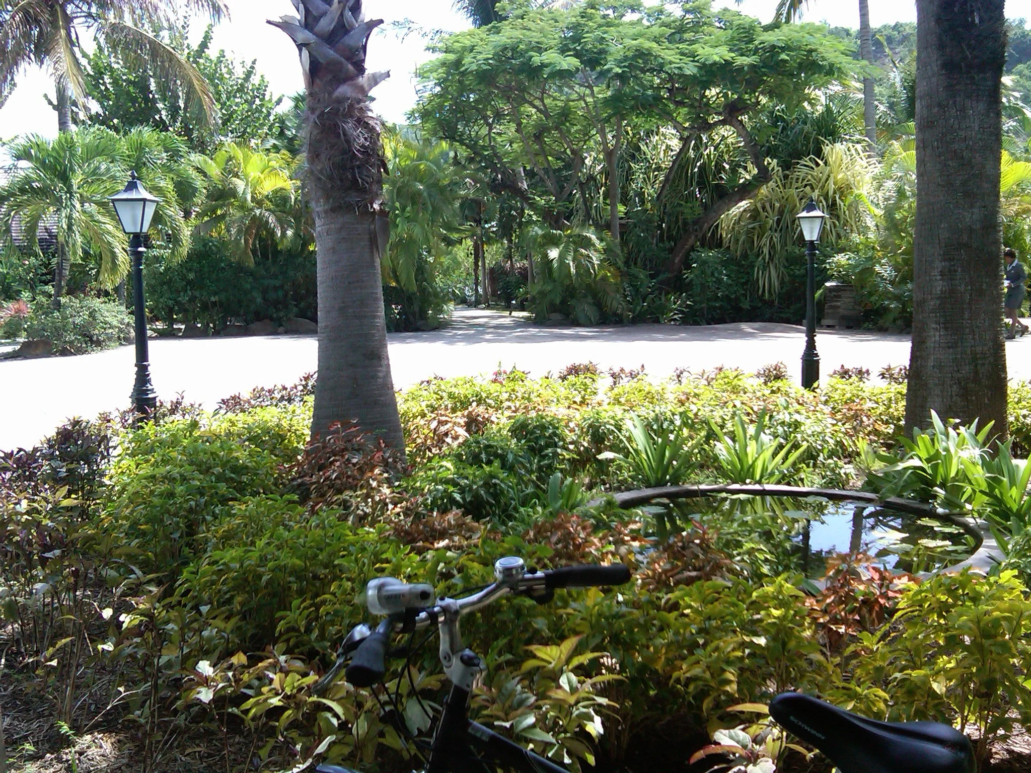 IMG00186-20111011-1255.jpg